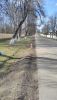 IMG_20160423_163011.jpg