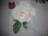 IMG_20160427_234738.jpg