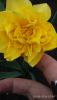 IMG_20160501_070946.jpg