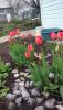 IMG_20160501_071003.jpg