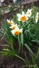 IMG_20160501_071108.jpg