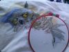 IMG_20160502_193836.jpg