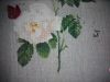 IMG_20160503_213041.jpg