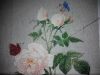 IMG_20160505_233050.jpg
