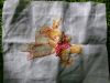IMG_20160506_074658.jpg