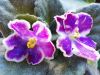 IMG_20160513_064824.jpg