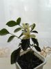 IMG_20160516_174515.jpg