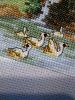 IMG_20160531_174714.jpg
