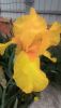P_20160508_115754.jpg
