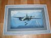 SDC13205.JPG