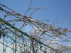 SDC13247.JPG