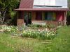 SDC13248.JPG