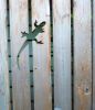 garden-fence-decor-ideas-51-57234c46c2639__700.jpg