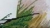 image.thumb.jpeg.f346c1ed706c4f2814fb4c6