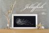 jellyfish-preview.jpg