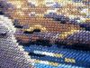 macro_05.JPG