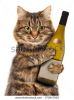 stock-photo-cat-with-a-bottle-of-wine-272947025.jpg