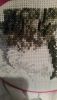 tmp-cam--1083626099.jpg