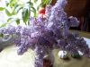 20160527_084352.jpg