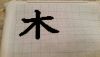 20160603_231756.jpg