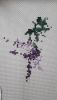 20160608_231655.jpg