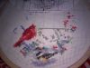 20160609_115554.jpg