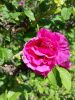 20160610_143036.jpg