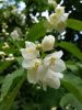 20160610_144810.jpg