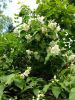 20160610_144818.jpg
