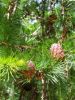 20160610_160743.jpg