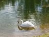 20160610_165710.jpg