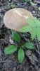 20160618_091719.jpg