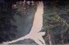 20160618_163026.thumb.jpg.9c8273cb4c6f7c