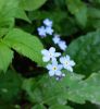 20160621_173305.jpg