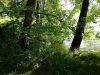 20160621_180133.jpg