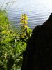 20160621_180456.jpg