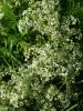 20160621_182448.jpg