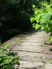 20160622_115345.jpg