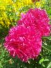 20160623_113412.jpg