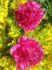 20160623_113426.jpg