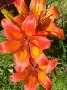 20160623_153452.jpg