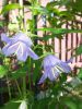 20160623_153703.jpg