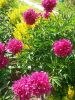 20160623_153921.jpg