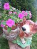 20160623_154425.jpg