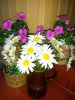 20160624_202702.jpg