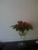57593f9916e35_.thumb.JPG.d6ee2429c941686