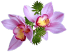 9-klipart_cvety-400.png