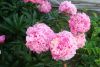 DSC01248.JPG