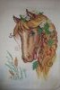 DSC01283.thumb.JPG.75dacd87ba4ff4279dff1