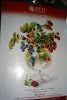 DSC01304.thumb.JPG.d8514d9002985e9bc6403